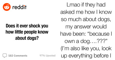 Dog Owners Don’t Know Enough About Their Dogs – One Reddit Post Sparks A Debate