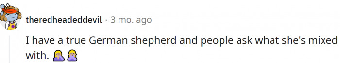 People can't even recognize real German Shepherds anymore.