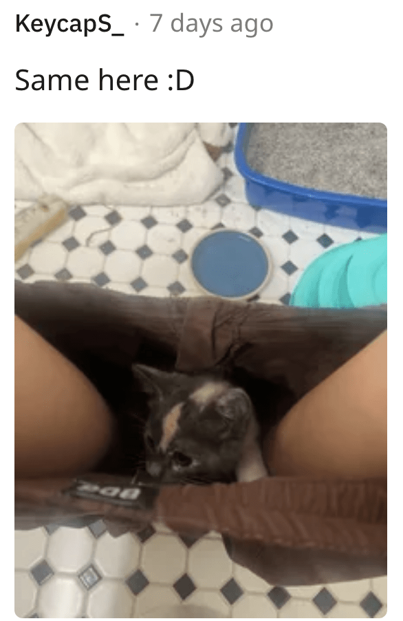 17. We have a lot to discuss, hooman