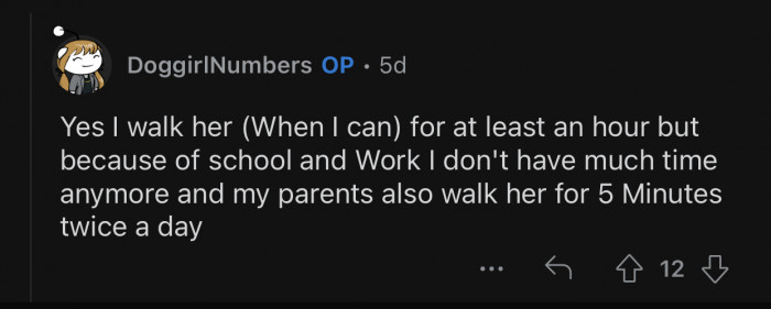 OP and their parents take the dog on walks regularly.