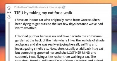 Woman Shares Hilarious Story Of How She Took Her Cat For A Walk And Ended Up Being A Hot Mess