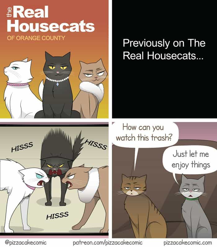 The Real Housecats of Orange County