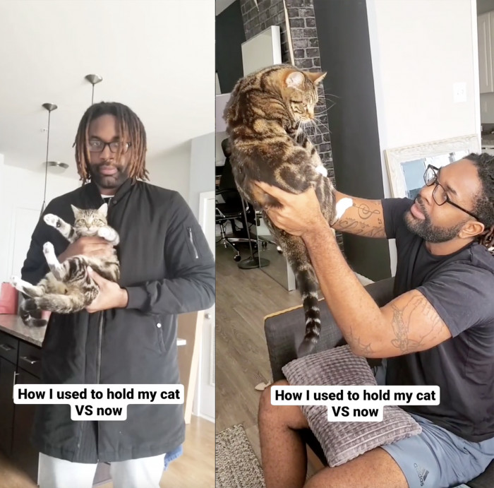 Bambi, who was formerly his first foster cat, was eventually adopted by him, and his videos show how times have changed.