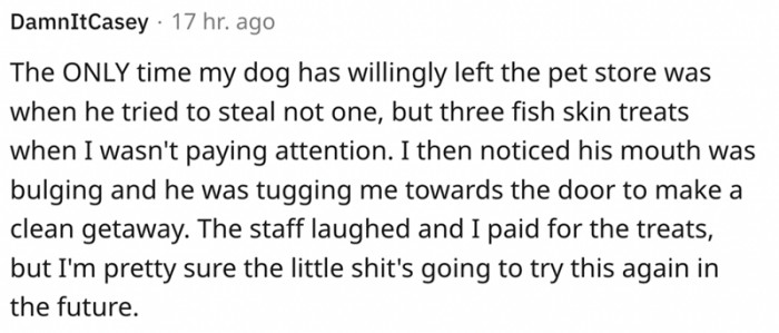 He tried to steal three fish skin treats