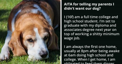 Parents Call Redditor Ungrateful For Refusing To Care For A Dog They Imposed On Her Despite Her Busy Schedule