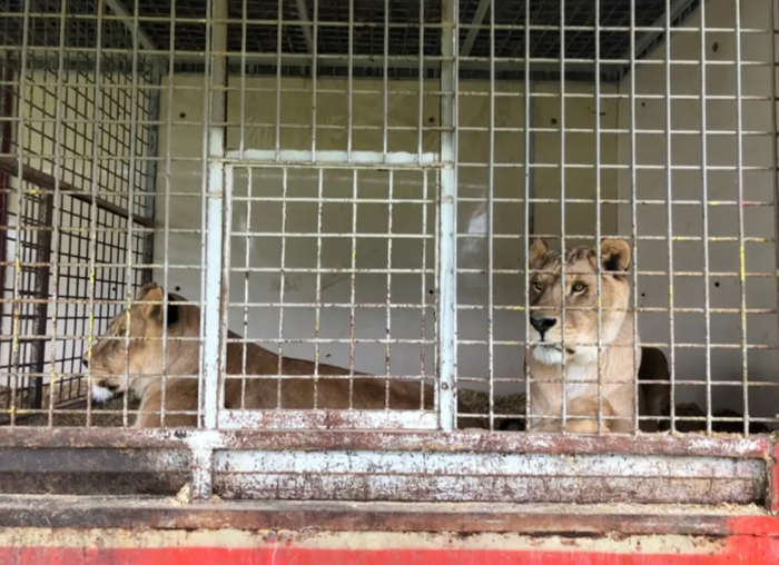 It wasn't a smooth sailing journey for everyone