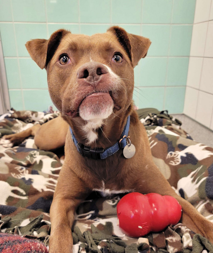 “Malcolm is quite a character,” Tommy Sanfilippo, a staff member at MARL, told The Dodo.