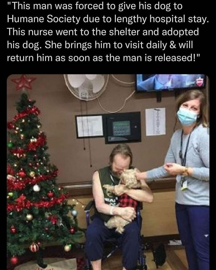 11. Proof that love shows up in many forms, including a nurse who moonlights as a dog chauffeur.