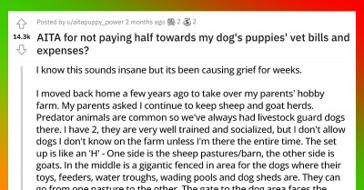 Dog Owner's Entitled Actions Ended A Years-Long Relationship When She Conspired With The Girlfriend Of The Farm Owner While He Was On A Business Trip