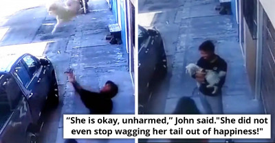 The Heroic Moment This Man Saved A Puppy Falling From A Fourth Floor Balcony