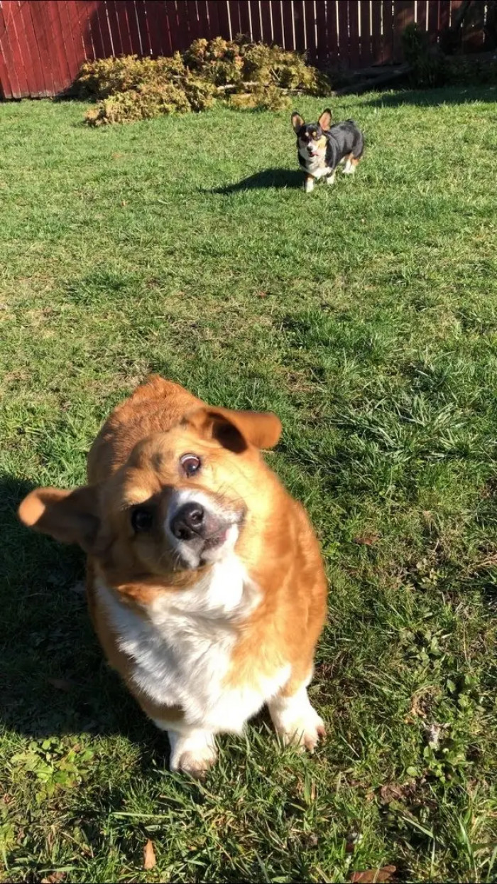 8. All that's missing are some shades