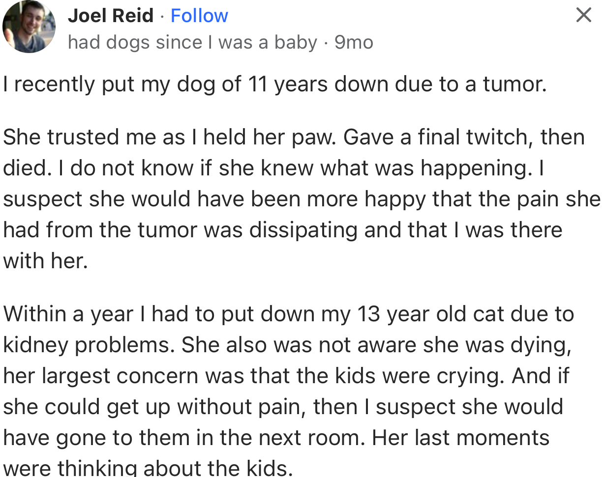 “I recently put my dog of 11 years down due to a tumor. She trusted me as I held her paw. She gave a final twitch, then died.”