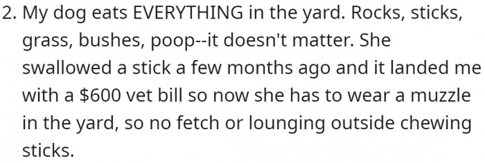 First, her dog likes to dig; second, he eats everything he finds out there.
