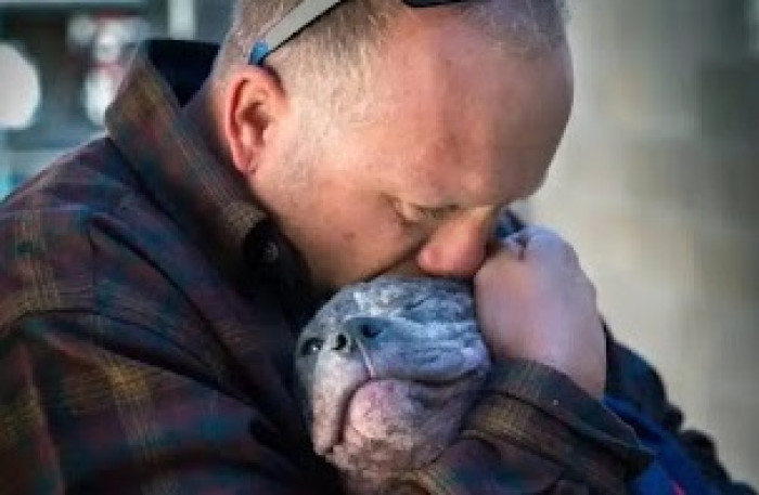 He stumbled upon her when she was at her weakest—sick, tethered to a post in the pouring rain, and left to meet a heartbreaking fate.