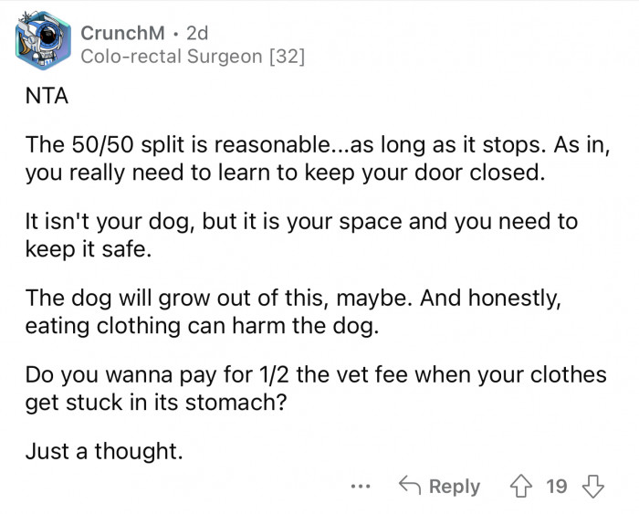 Besides the damage, eating clothing can harm the dog.