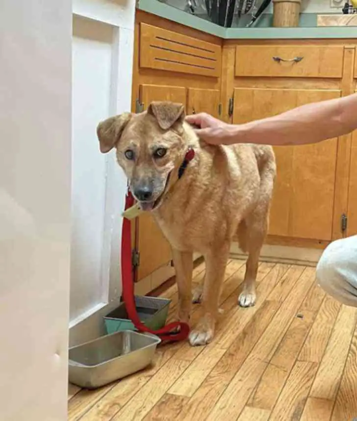 “She was very quiet and timid”