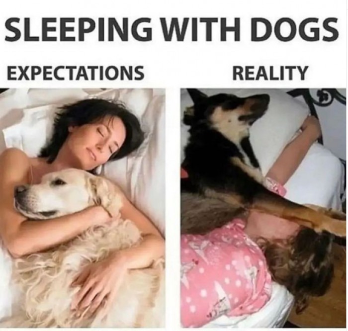 4. The secret is revealed