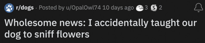 OP laughed and told her parents about her dog's new favorite hobby