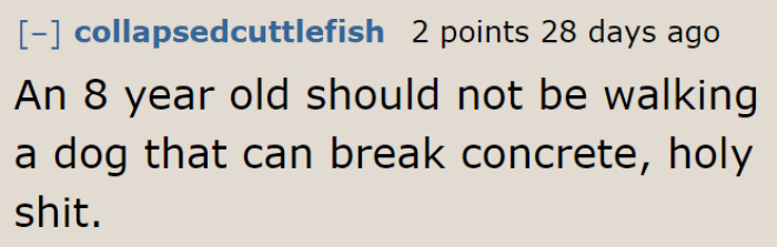 Children this age shouldn't be allowed to walk their dog alone.