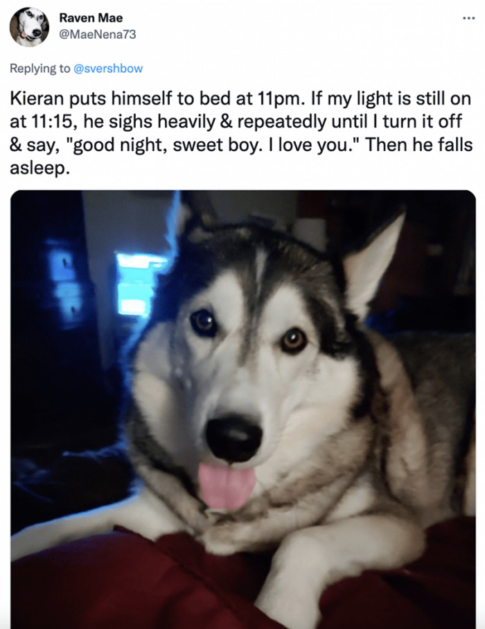 2. Goodnight, sweet boy; it's bedtime, so have a good night's rest