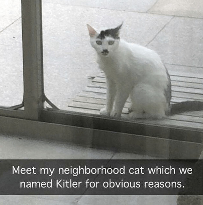2. Kitler must be a wonderful neighbor.