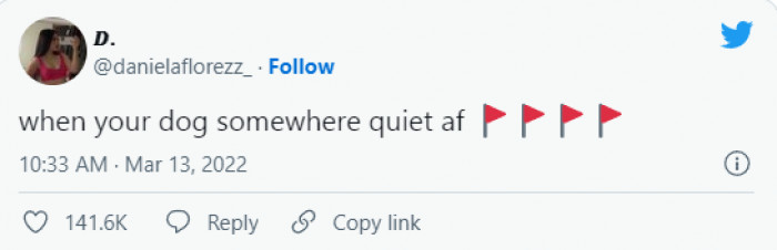 8. Red Flags All Over the Place...