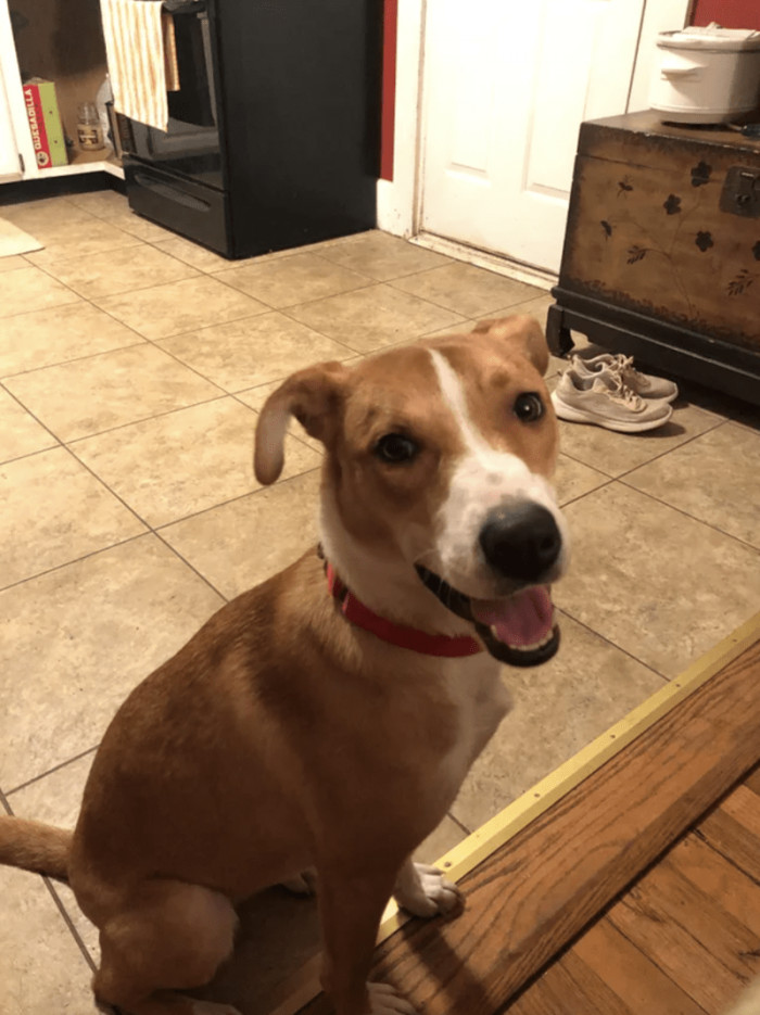 1. "My southern girl Shelby at the rescue..."