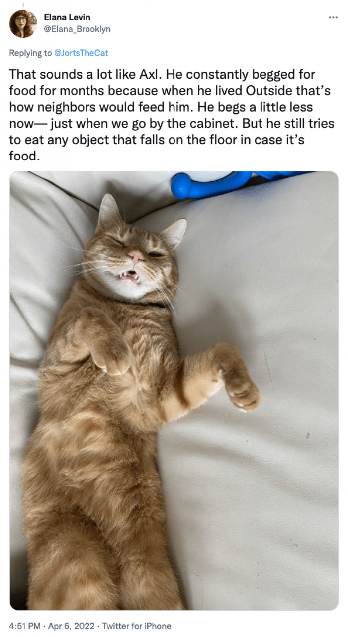 Although specific behaviors might lessen, their instincts will remain very present.