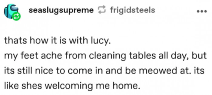 9. My cat meows whenever I return home