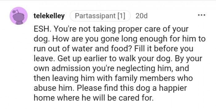 Get up earlier to walk your dog