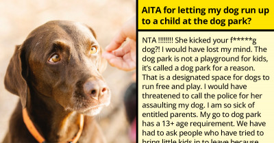 A Friendly Dog Approaches a Kid in a Dog Park, but Instead of Pets, Gets Kicks from Its Mom