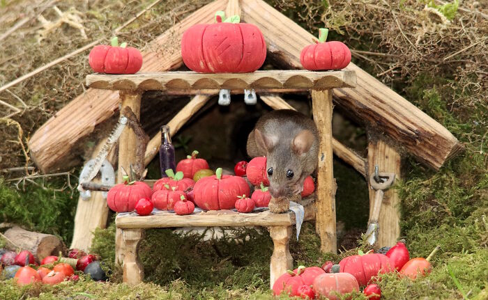 13. The Mouse Pumpkin Seller And His Market Stall