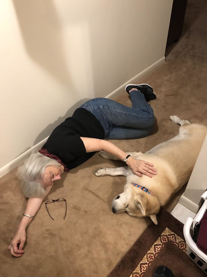 16. “We Adopted A Senior Saint Named Mikey Yesterday And I Think It’s Safe To Say His First Trip To Grandma’s Went Well”