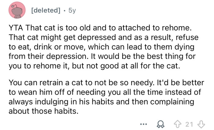 The poor cat will get depressed if you rehome it.