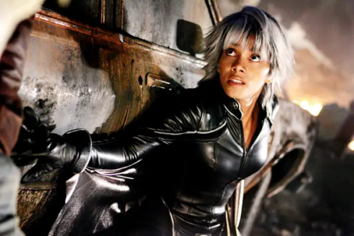 17. Halle Berry wants to revisit the superhero role.