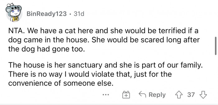 Exactly, the cat is part of his family and his home, so ultimately the cat is above the dog.