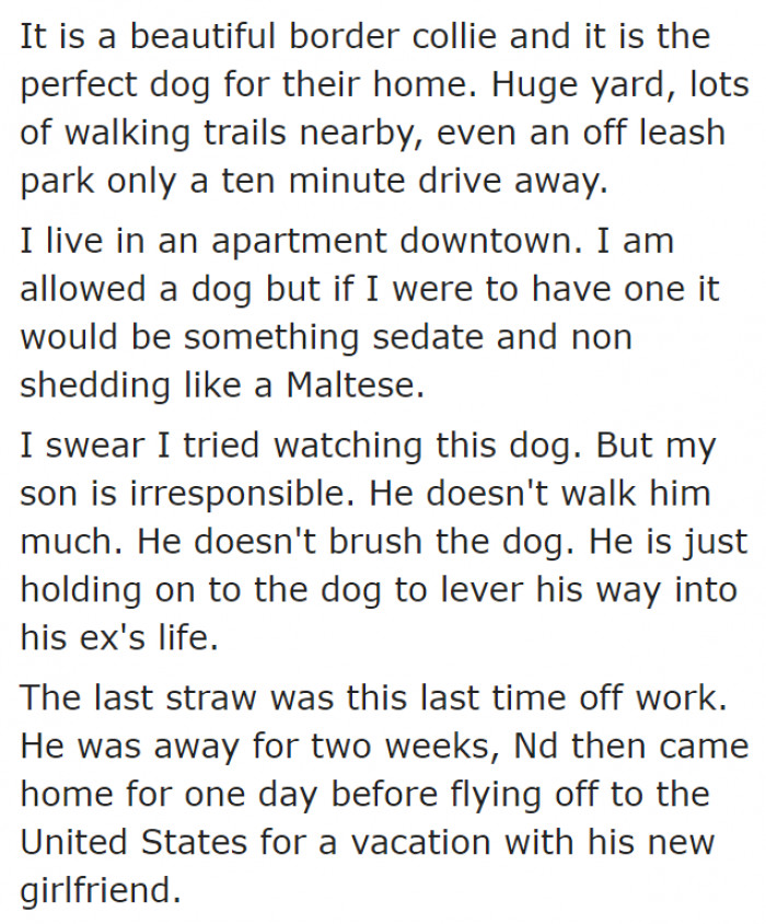 The dog isn't getting the care it needs.