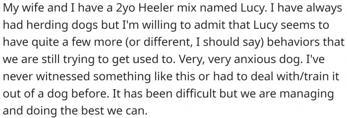 He and his wife have a 2-year-old dog that's very demanding for OP to train, even though he has experience with herding dogs