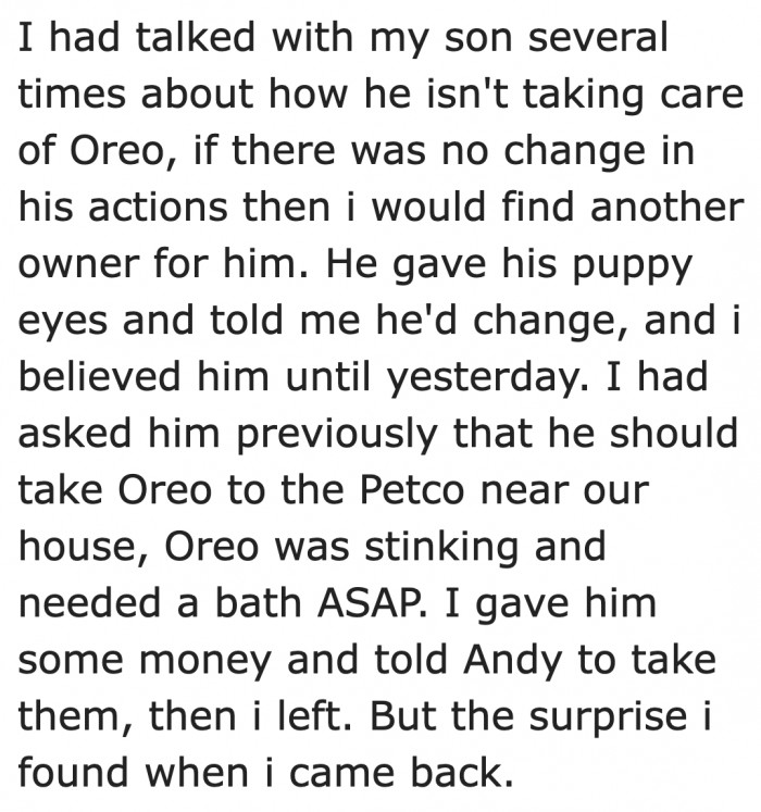 The poor dog stinks. It isn't properly cared for.