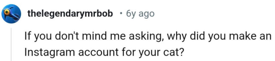 This Redditor is wondering why OP made an account for their cat in the first place