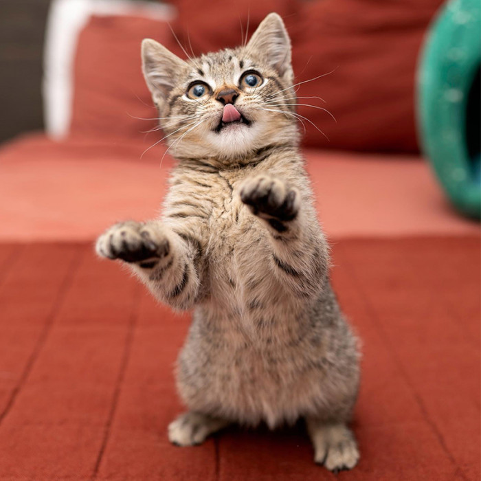 “Bonus is Here and She is AMAZING!” - Elise Shared