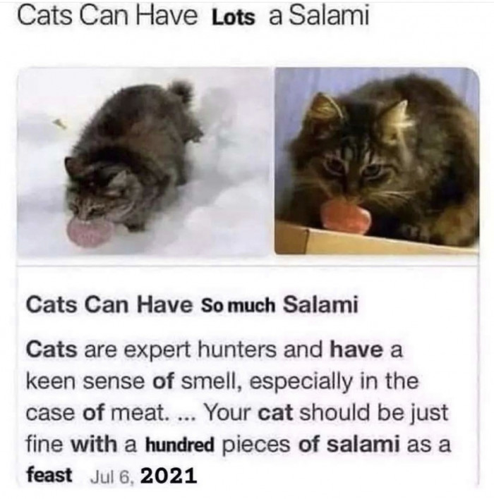 6. I bet that a cat made this one.