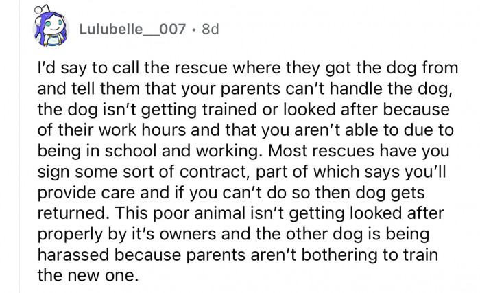 "This poor animal isn’t getting looked after properly by it’s owners..."