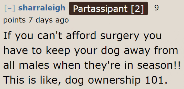 Redditors are reprimanding the OP for lacking responsibility as he allowed his dog to get pregnant.