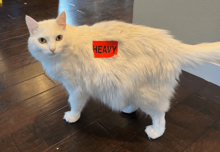 2. At least there's a warning.