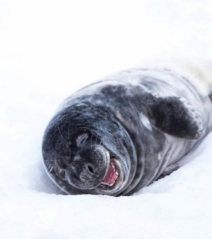 21. This makes me so happy