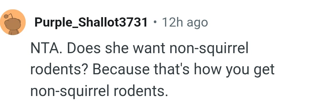 An easy way to get non squirrel rodents