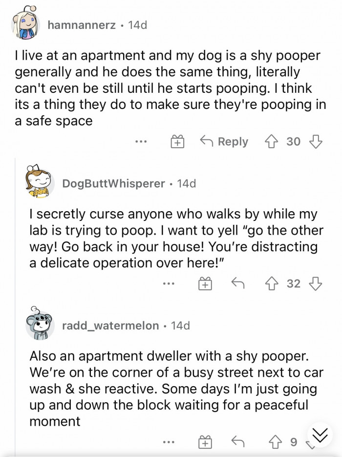 #9 "I think it's a thing they do to make sure they're pooping in a safe space."