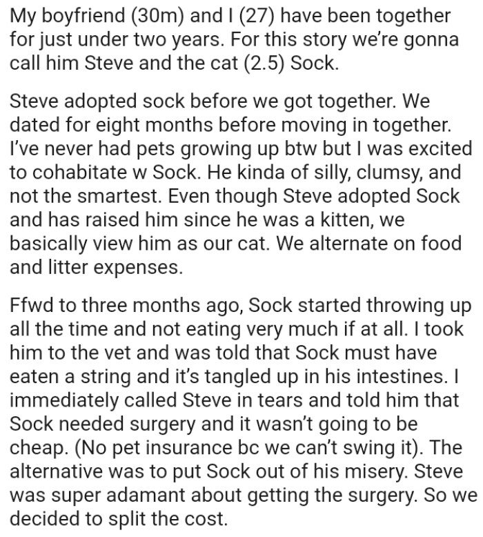 The OP has never had pets growing up but she was excited to cohabitate with her boyfriend's cat