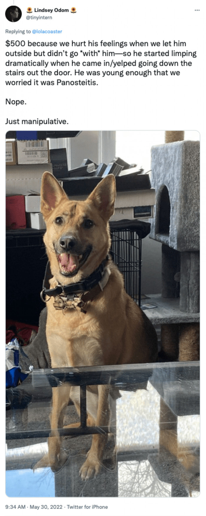 2. We Hurt His Feelings